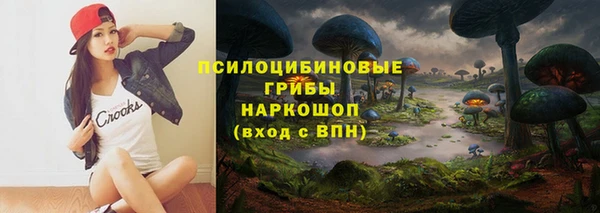 экстази Арсеньев