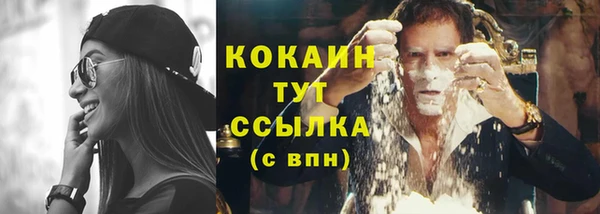 прущие крисы Аркадак