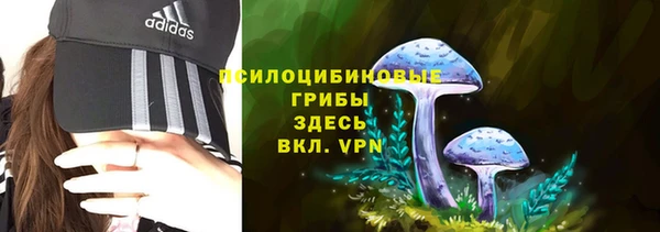 прущие крисы Аркадак
