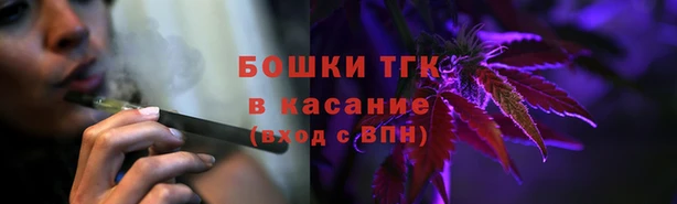 прущие крисы Аркадак