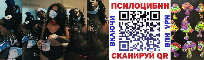Псилоцибиновые грибы Psilocybe  Купить  Изобильный 